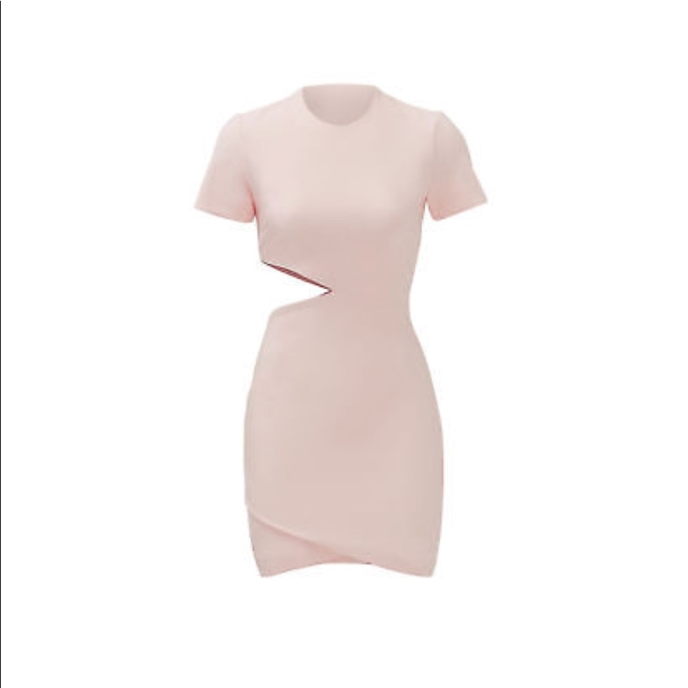 Elizabeth and James Sheath Blush Short Dress